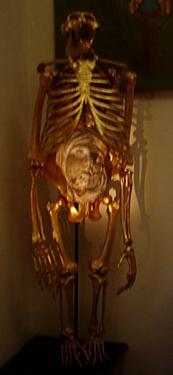 Рождение человека из обезьяны. Худ. Сальвадор Дали. Музей Сальвадора Дали.  (Фото Лимарева В.Н.)